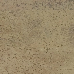 HARMONY CHAMPAGNE